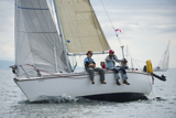 zebedee 6731Y whyw13 sun 0062